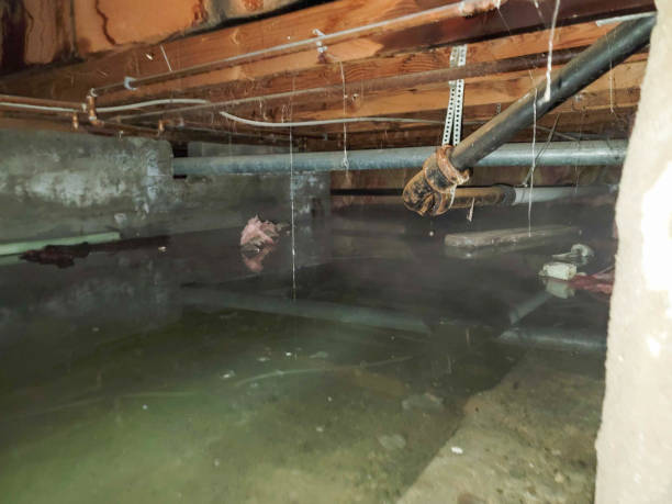  Lus Valley Marinwood, CA Water damage restoration Pros